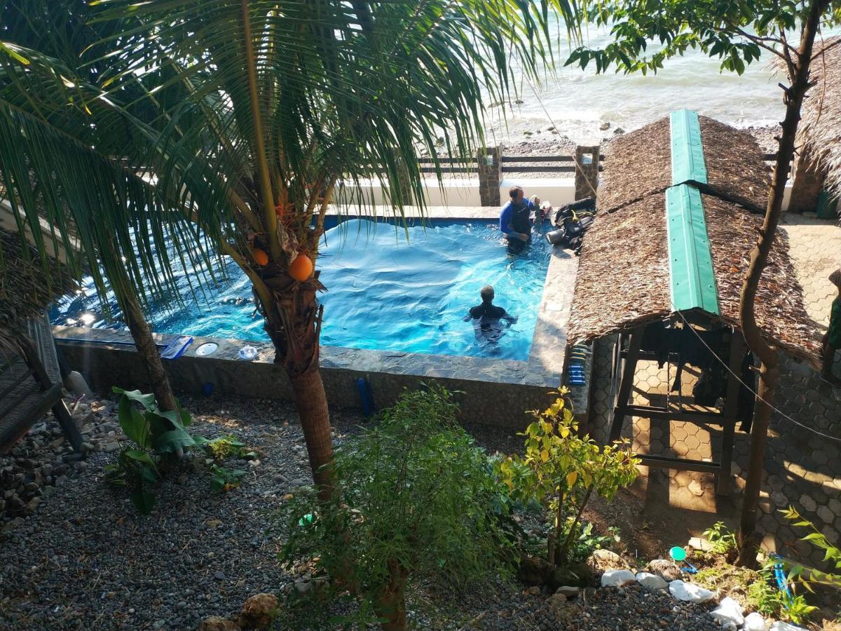 Blue Ribbon Dive Resort Mabini  Eksteriør billede