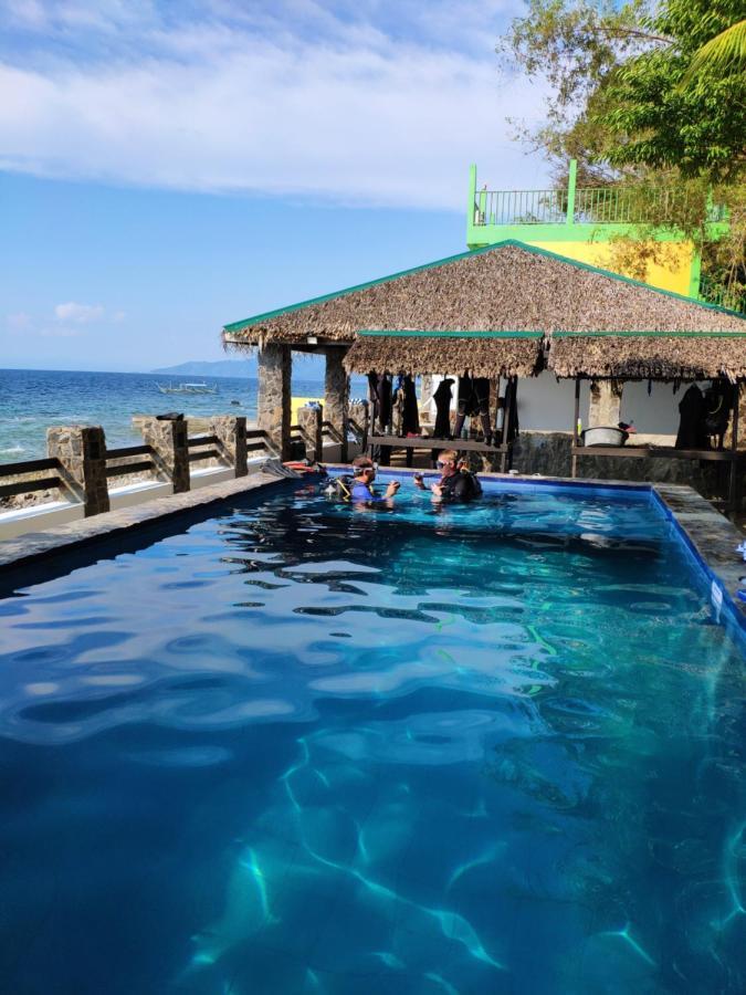 Blue Ribbon Dive Resort Mabini  Eksteriør billede