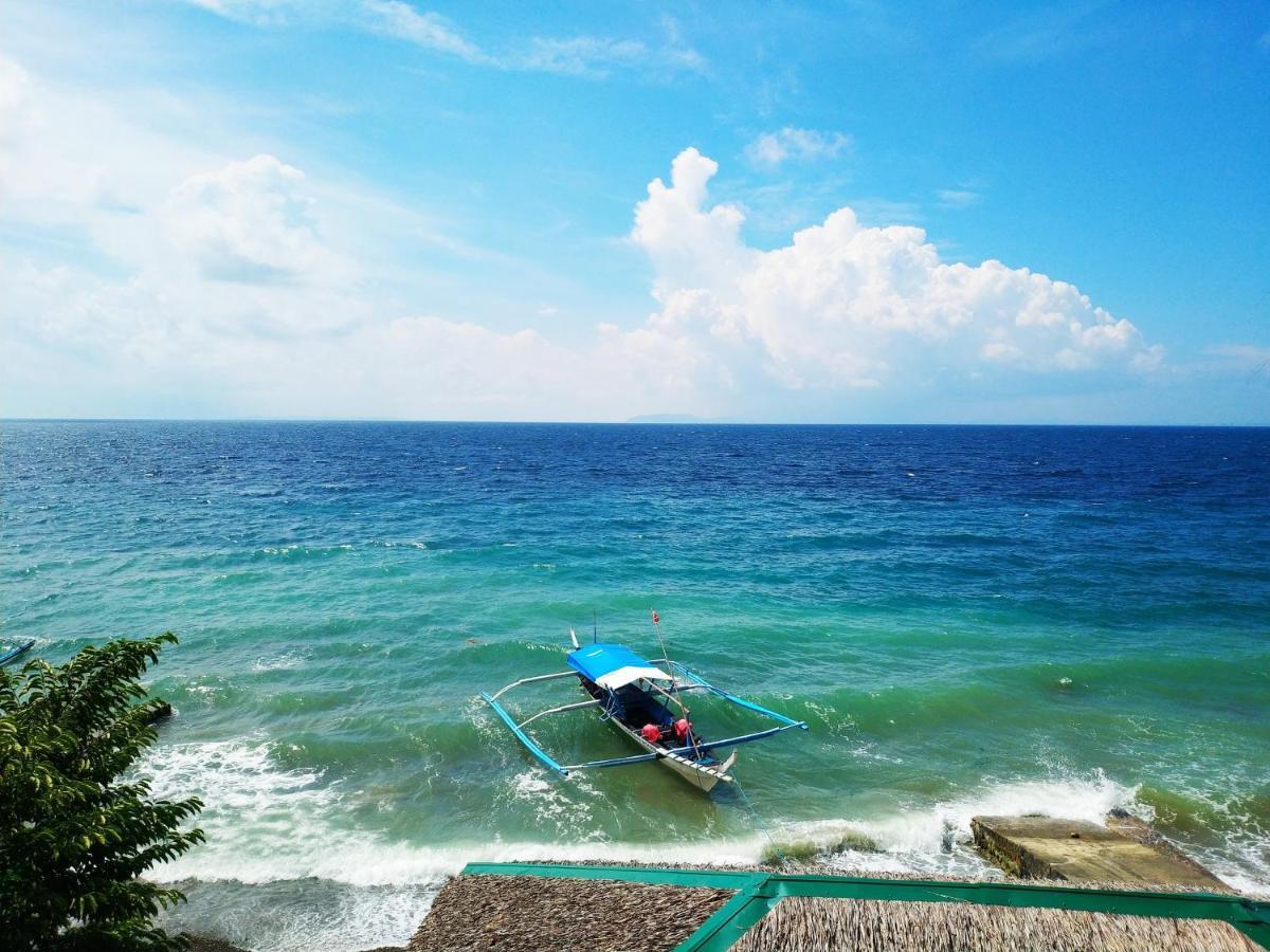 Blue Ribbon Dive Resort Mabini  Eksteriør billede