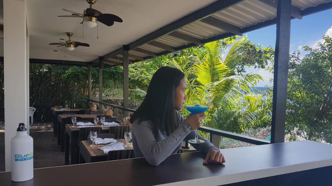Blue Ribbon Dive Resort Mabini  Eksteriør billede